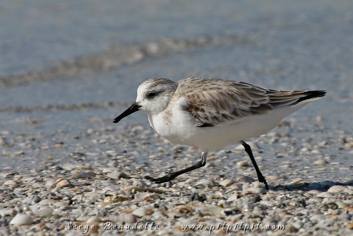 2009-01-04 10-50-24__MG_9643.JPG